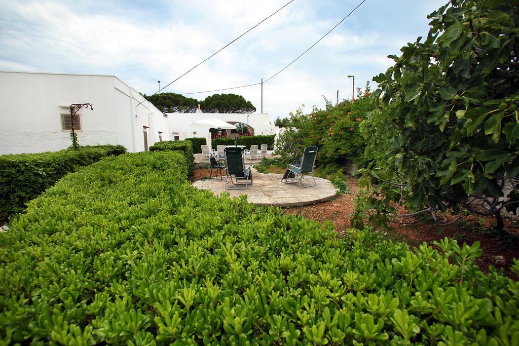Paradise Patù 外观 照片